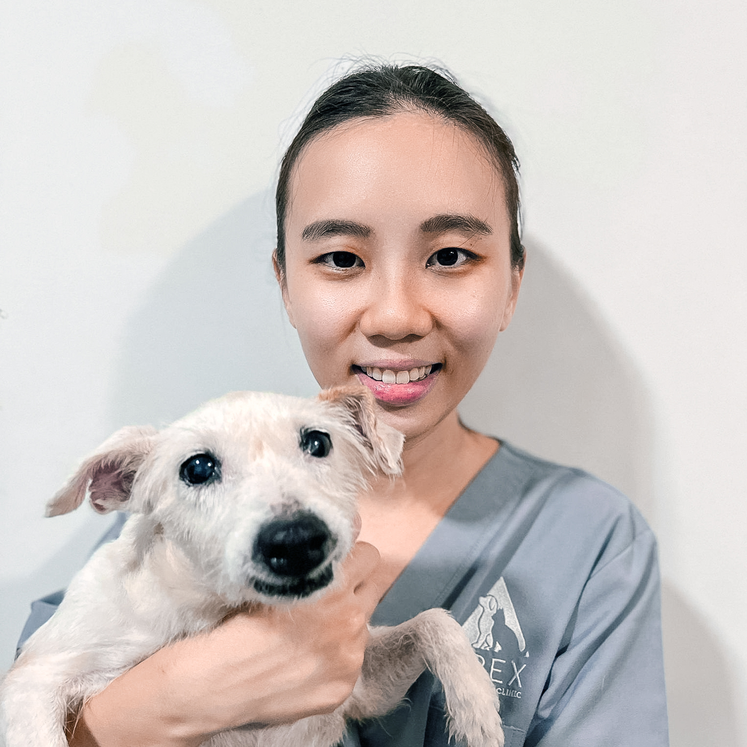 APEX | Veterinary Clinic