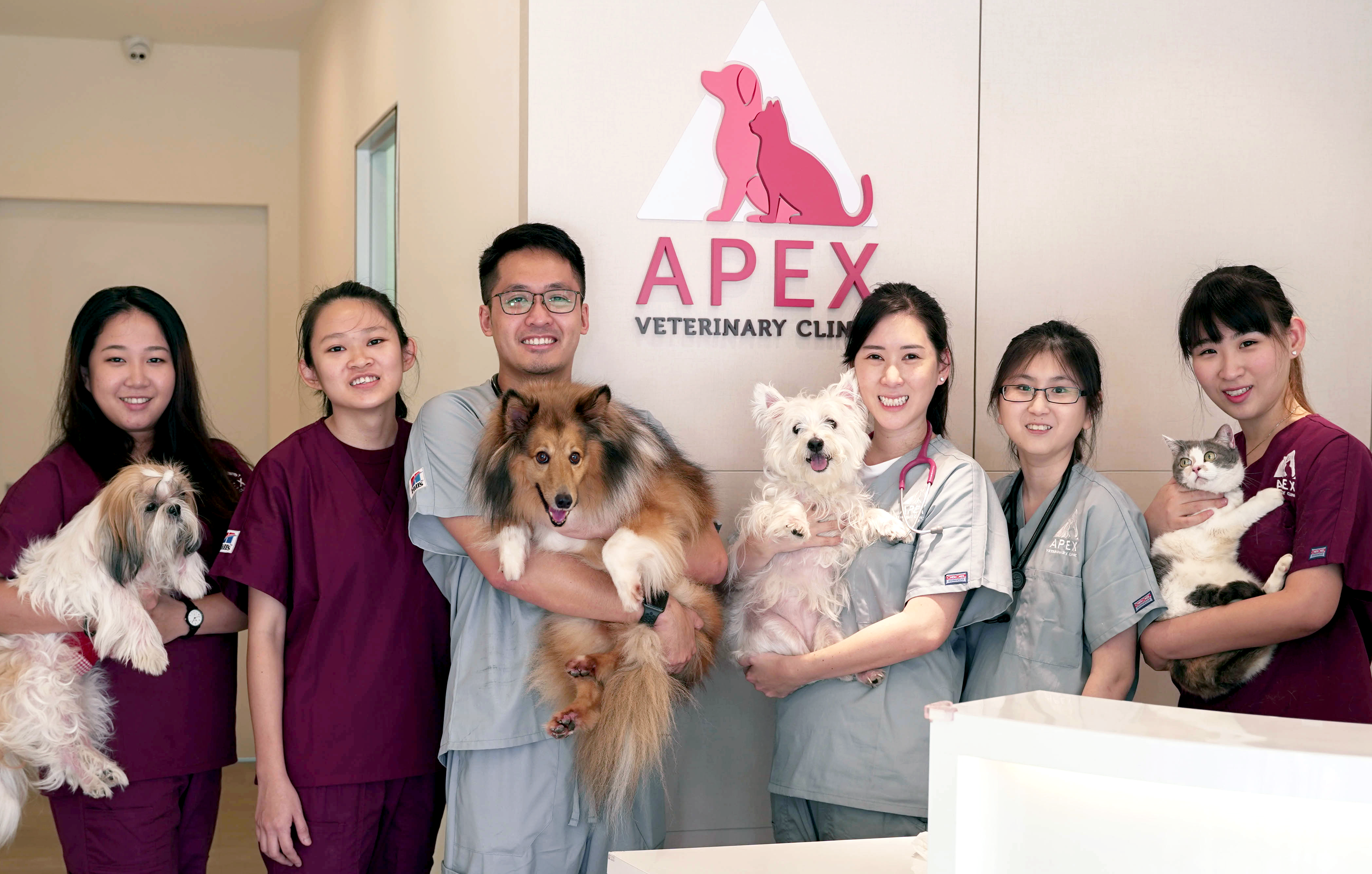 APEX | Veterinary Clinic